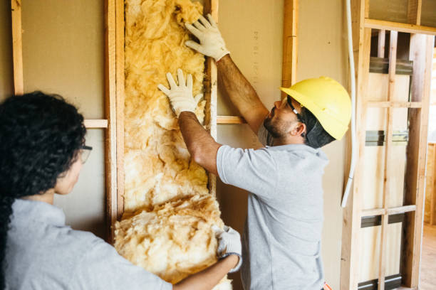 Best Soundproof Insulation  in Parrish, AL